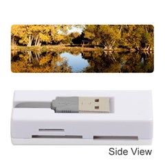 Autumn Lake Memory Card Reader (stick) 