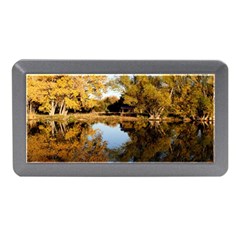 Autumn Lake Memory Card Reader (mini)