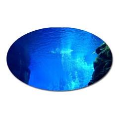 Underwater Trench Oval Magnet by trendistuff