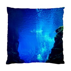 Underwater Trench Standard Cushion Case (one Side) 