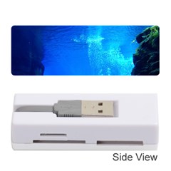 Underwater Trench Memory Card Reader (stick) 