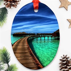 Maldives 2 Oval Ornament (two Sides) by trendistuff