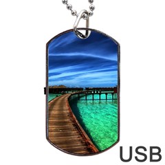 Maldives 2 Dog Tag Usb Flash (one Side) by trendistuff