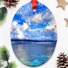 Maldives 1 Oval Ornament (two Sides) by trendistuff