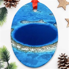 Great Blue Hole 2 Oval Ornament (two Sides) by trendistuff