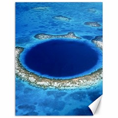 Great Blue Hole 2 Canvas 12  X 16   by trendistuff