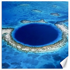 Great Blue Hole 2 Canvas 16  X 16   by trendistuff