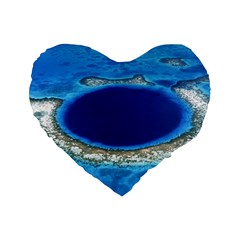 Great Blue Hole 2 Standard 16  Premium Flano Heart Shape Cushions