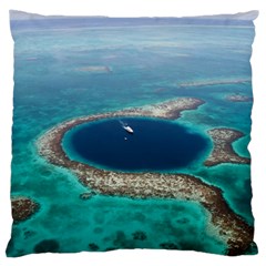 Great Blue Hole 1 Large Cushion Cases (two Sides)  by trendistuff