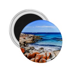 Bay Of Fires 2 25  Magnets by trendistuff