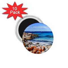 Bay Of Fires 1 75  Magnets (10 Pack)  by trendistuff