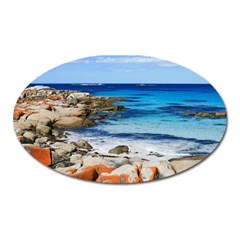 Bay Of Fires Oval Magnet by trendistuff