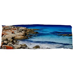 Bay Of Fires Samsung S3350 Hardshell Case by trendistuff