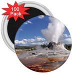 YELLOWSTONE CASTLE 3  Magnets (100 pack)