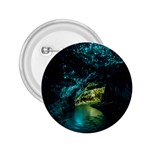 WAITOMO GLOWWORM 2.25  Buttons