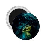 WAITOMO GLOWWORM 2.25  Magnets