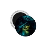 WAITOMO GLOWWORM 1.75  Magnets