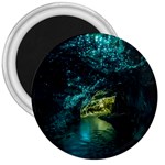 WAITOMO GLOWWORM 3  Magnets