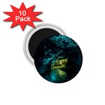 WAITOMO GLOWWORM 1.75  Magnets (10 pack) 