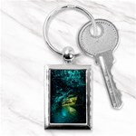 WAITOMO GLOWWORM Key Chains (Rectangle) 