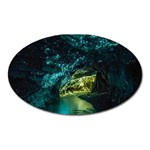 WAITOMO GLOWWORM Oval Magnet