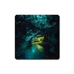 WAITOMO GLOWWORM Square Magnet