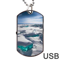 Turquoise Ice Dog Tag Usb Flash (two Sides)  by trendistuff