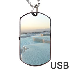 Travertine Pools Dog Tag Usb Flash (two Sides)  by trendistuff