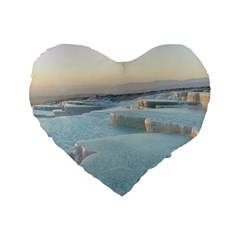 Travertine Pools Standard 16  Premium Heart Shape Cushions by trendistuff