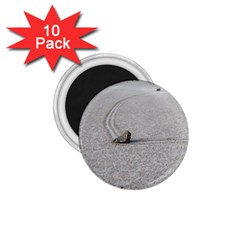 Sailing Stones 1 75  Magnets (10 Pack) 