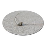 SAILING STONES Oval Magnet