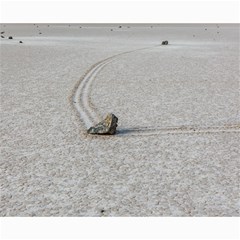 Sailing Stones Collage 8  X 10  by trendistuff