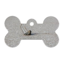 Sailing Stones Dog Tag Bone (two Sides)