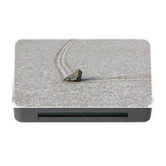 Sailing Stones Memory Card Reader With Cf