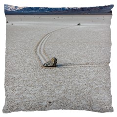 Sailing Stones Large Flano Cushion Cases (two Sides) 