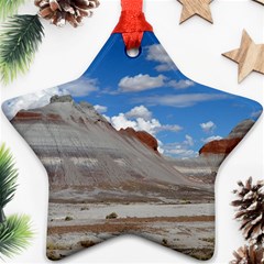 Petrified Forrest Tepees Star Ornament (two Sides)  by trendistuff