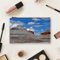 Petrified Forrest Tepees Cosmetic Bag (medium)  by trendistuff