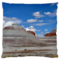 Petrified Forrest Tepees Large Flano Cushion Cases (two Sides) 