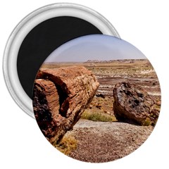 Petrified Desert 3  Magnets by trendistuff