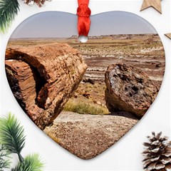 Petrified Desert Ornament (heart)  by trendistuff