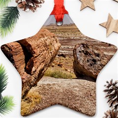 Petrified Desert Ornament (star)  by trendistuff