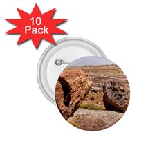 Petrified Desert 1 75  Buttons (10 Pack)