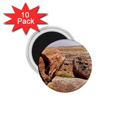 Petrified Desert 1 75  Magnets (10 Pack) 