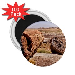 Petrified Desert 2 25  Magnets (100 Pack) 