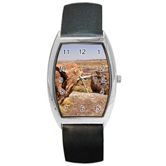 Petrified Desert Barrel Metal Watches