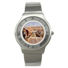 Petrified Desert Stainless Steel Watches