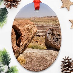 Petrified Desert Oval Ornament (two Sides) by trendistuff