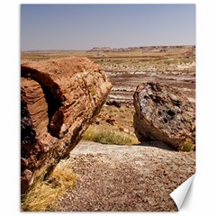 Petrified Desert Canvas 8  X 10  by trendistuff