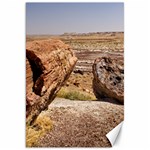 PETRIFIED DESERT Canvas 20  x 30   19.62 x28.9  Canvas - 1