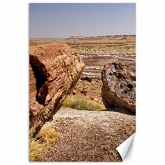 Petrified Desert Canvas 24  X 36  by trendistuff